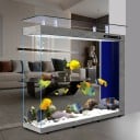 Aquarium de luxe 120 x 40 x 116 cm Grand aquarium en verre avec cloison Verre blanc super lumineux Éclairage LED Filtration Écran 4