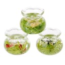 Aquarium pour poupée 1