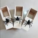 Araignée artificielle dans une boîte 5