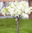 Árbol modelo 17