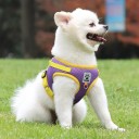 Arnês de segurança para cães com trela Arnês reflexivo para cães Colete respirável para cães pequenos e cachorros 7,5 - 10 kg 2