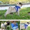 Arnês para gatos e pequenos cães C8777 2