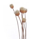 Aroma diffuser pinde med blomster 5 stk. 9