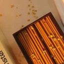 Αρωματικά ραβδιά αρωματοθεραπείας 30τμχ άρωμα ξύλου κέδρου 12 εκ 2