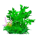 Artificial Aquarium Plant 14 cm Water Grass Made of Soft Plastic Realistic Decoration Aquarium Vegetation Shelter for Fish Easy Maintenance 1