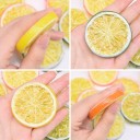 Artificial Citrus Slices 10 pcs 8