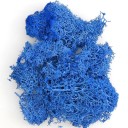 Artificial Coloured Moss 200 g Decorative Moss Grass Fake Green Plants Mini Landscape DIY Crafts Home Garden Decoration Living Room 5