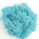 Artificial Coloured Moss 200 g Decorative Moss Grass Fake Green Plants Mini Landscape DIY Crafts Home Garden Decoration Living Room 10