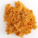 Artificial Coloured Moss 200 g Decorative Moss Grass Fake Green Plants Mini Landscape DIY Crafts Home Garden Decoration Living Room 11