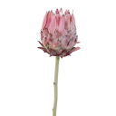 Artificial Decorative Flower on Stem Fluffy Plastic with Steel Stem 63x7 cm for Arranging and Interior Decoration 3