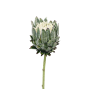 Artificial Decorative Flower on Stem Fluffy Plastic with Steel Stem 63x7 cm for Arranging and Interior Decoration 2
