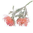 Artificial Decorative Flower Realistic Flower on Stem 38x10 cm Plastic Design for Arranging and Interior Decoration 2
