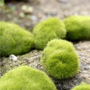 Artificial Decorative Moss 2 pcs 4