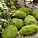 Artificial Decorative Moss 2 pcs 5