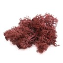 Artificial Decorative Moss C647 5