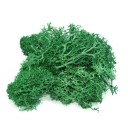 Artificial Decorative Moss C647 12