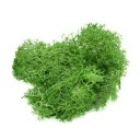 Artificial Decorative Moss C647 13