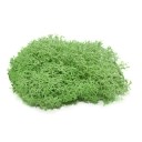 Artificial Decorative Moss C647 10