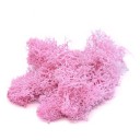Artificial Decorative Moss C647 7