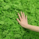 Artificial Decorative Moss C647 16