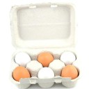 Artificial Egg 6 pcs 4