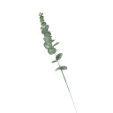 Artificial Eucalyptus Stem 8