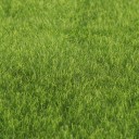 Artificial Grass for the Garden 7
