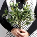 Artificial Olive Tree Stem 4