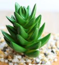 Artificial Succulent C580 8