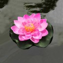 Artificial Water Lily Flower 5 pcs H984 2