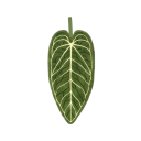 Asciugamano da mano a forma di foglia assorbente appeso rinforzato asciugamano da cucina e da bagno verde accessorio decorativo 1