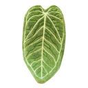 Asciugamano da mano a forma di foglia assorbente appeso rinforzato asciugamano da cucina e da bagno verde accessorio decorativo 2