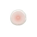 Assiette en porcelaine C159 3