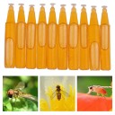 Atrativo para insetos Líquido para atrair insetos para o local escolhido Embalagem em pequenas ampulas de plástico fechadas com 2 ml 3