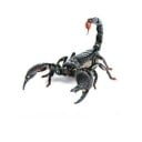 Autocolant 3D pentru mașină cu motiv realist de animal O decorare pentru capotă sau aripa frontală cu efect tridimensional Dimensiune aproximativ 16 2
