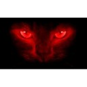 Autocolante 3D para vidro traseiro 14