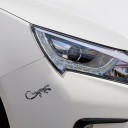 Autocolante de lagarto B489 3