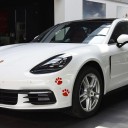 Autocolante de patas 4