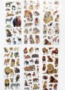 Autocolantes Animais Selvagens - 200 unid 4