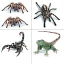 Autocollant 3D pour voiture avec un motif d'animal réaliste Décoration pour capot ou aile avec effet tridimensionnel Taille d'environ 16 à 18 cm 7