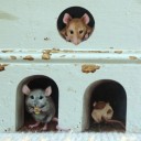 Autocollant mural souris 3 pcs 2