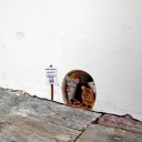 Autocollant mural souris 3