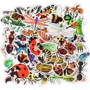 Autocollants insectes 50 pcs 2