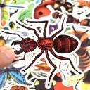 Autocollants insectes 50 pcs 4