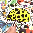 Autocollants insectes 50 pcs 5