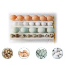 Automatic Incubator for Poultry 2