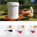 Automatický dávkovač vody s ventilem pro drobnou drůbež 4 kusy 10,5 x 6,5 x 4 cm plastová miska pro kuřata, slepice a křepelky 3