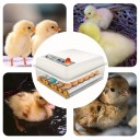 Automatikus tojásincubátor baromfi számára 16 tojásos inkubátor Tojások forgatása 2 óránként Beállítás különböző madárfajokhoz 12 V táplálás 5