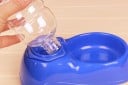 Automatisk vattendispenser för husdjur Skål med genomskinlig skruvflaska Volym 400 ml Lätt plast 24 x 12 x 6,5 cm 6