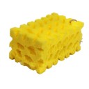 Autonpesusieni 2